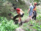 Waiuku 2011-01-29 120